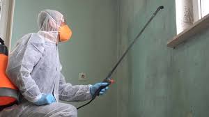 Why You Should Choose Our Mold Remediation Services in Balfour, NC